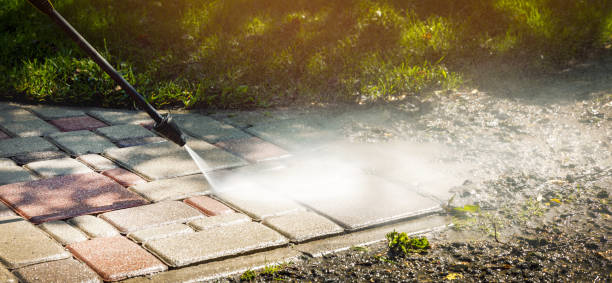 Best Animal Enclosure Cleaning  in Weber City, VA